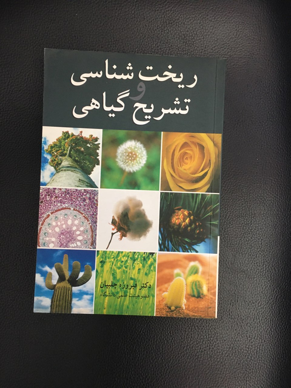 ریخت شناسی تشریح گیاهی کارکرده تمیز