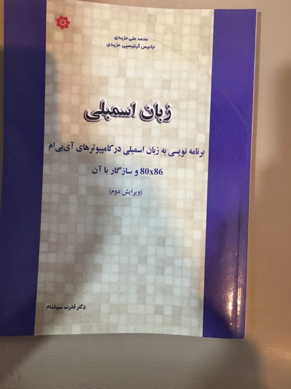 زبان اسمبلی